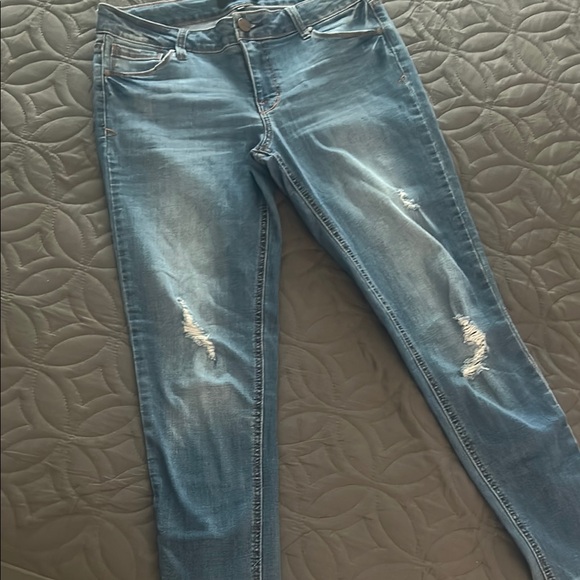 Style Co Womens Distressed Jeggings Blue Size 18w main image 1